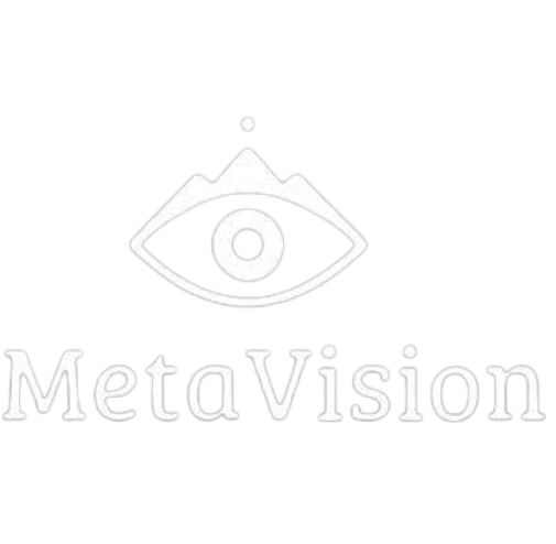 MetaVision